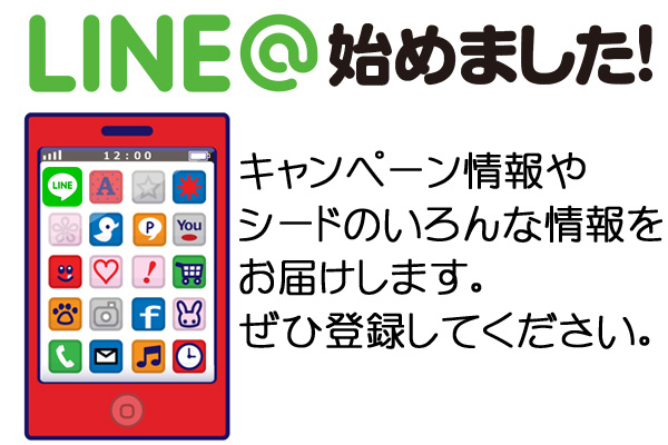 LINEはじめました